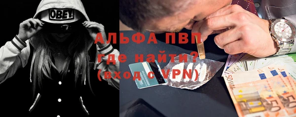 шишки Осинники