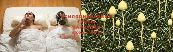 ГАЛЛЮЦИНОГЕННЫЕ ГРИБЫ Абаза