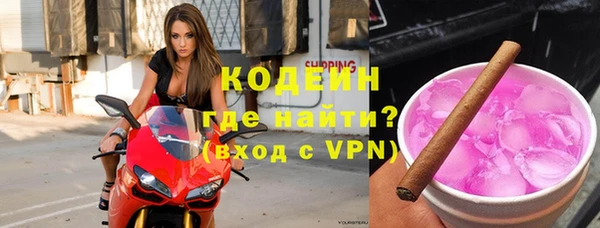 шишки Осинники
