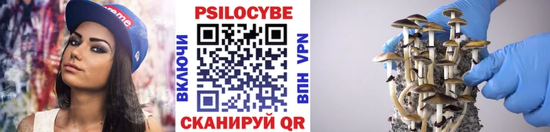 Галлюциногенные грибы мухоморы Суоярви
